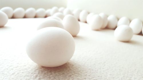 Close-up of eggs on white table