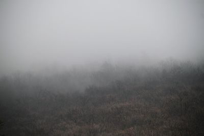 Scenic view of foggy weather against sky during sunrise