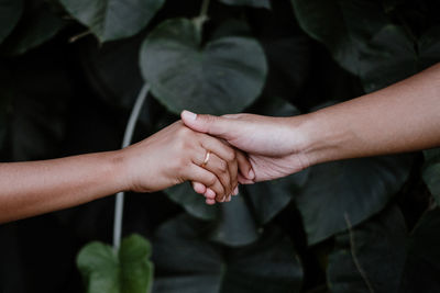 Cropped image of couple holding hands against plants
