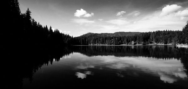 Reflection of trees in lake against sky