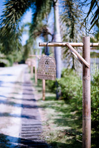 Close-up of wooden post hanging on tree trunk