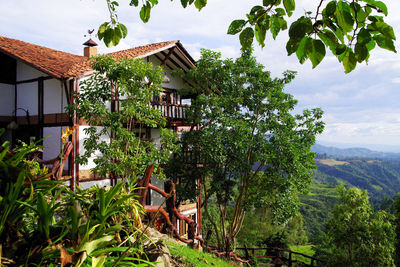 Plants and trees by building against sky