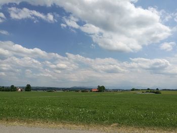 Scenic view of agricultural field against sky