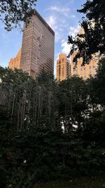 Low angle view of trees and buildings against sky