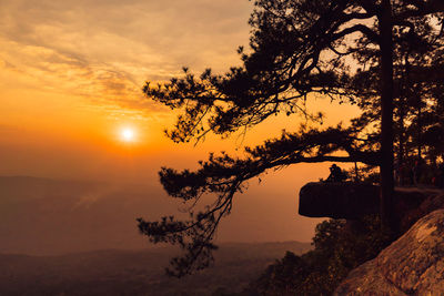 Silhouette tree against orange sky