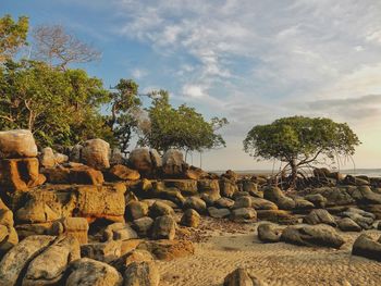 Rock formations by trees at beach