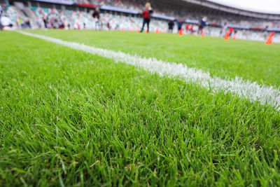 View of soccer field