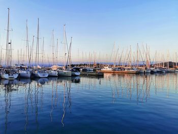 Sailboats moored in harbor