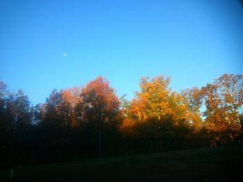 Scenic view of landscape against clear sky