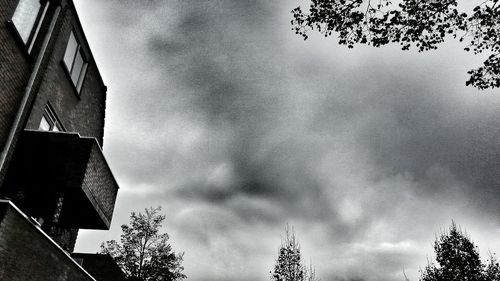 Low angle view of tree against cloudy sky