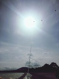 Low angle view of birds flying against sky