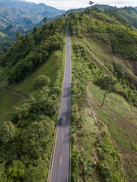 High angle view of road amidst trees