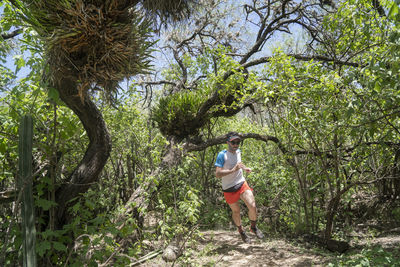 One man running on a trail under a tree with orchids at san sebastian