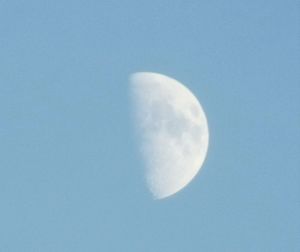 Low angle view of moon against sky