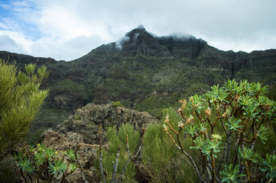 Scenic view of mountains against sky