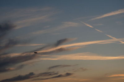 Low angle view of bird flying in sky