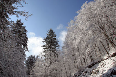 Low angle view of snow covered mountain against sky