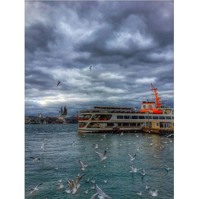 sky, built structure, cloud - sky, architecture, water, building exterior, cloudy, transfer print, bird, auto post production filter, sea, nautical vessel, overcast, weather, flying, waterfront, animal themes, animals in the wild, cloud, wildlife