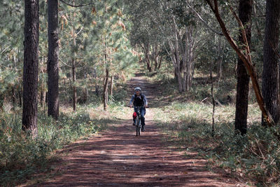 Man riding bicycle on footpath in forest