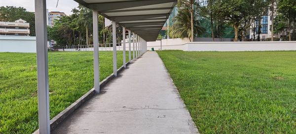 Footpath amidst plants in park