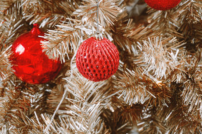 Close-up of christmas tree