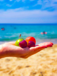 Close-up of hand holding leaf against sea