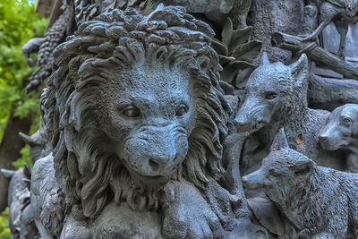 Close-up portrait of a elephant
