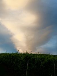 Scenic view of field against cloudy sky