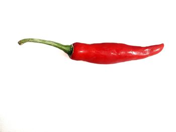 Close-up of red chili pepper against white background