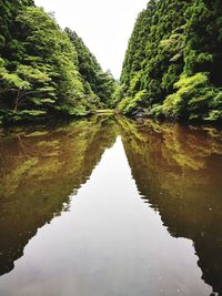 Reflection of trees in lake against sky