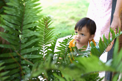 Preschoolers exploring nature little boy looking at fern leaves summer vacation for curious children