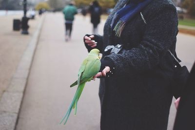 Close-up of bird perching on hand