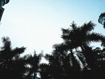 Low angle view of silhouette trees against clear sky