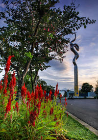 Trees in park against sky