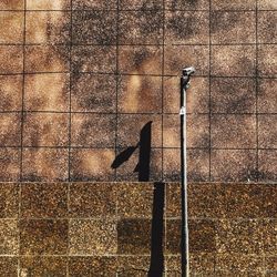Shadow of bird on brick wall