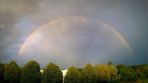 Panoramic view of rainbow over trees against sky