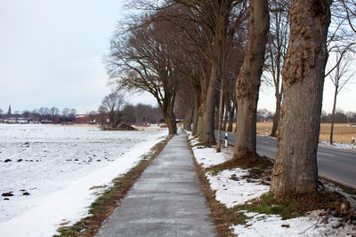 Road amidst snow covered trees against sky