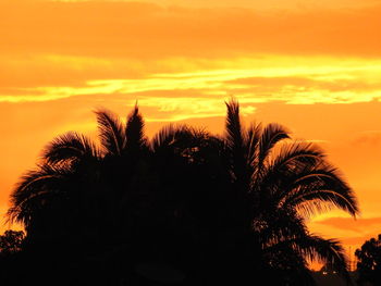 Silhouette trees against sky during sunset