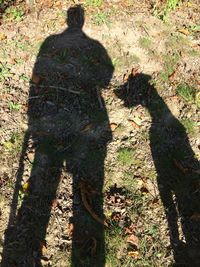 Shadow of people on grass