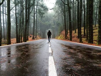 Rear view of woman walking on road in forest
