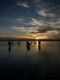 Silhouette people on beach against sky during sunset