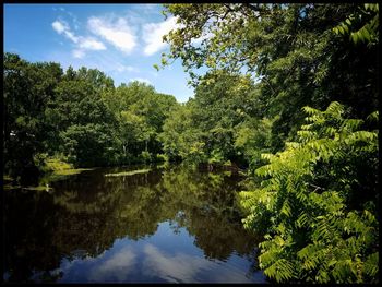 Reflection of trees in lake against sky