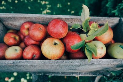 High angle view of apples in wooden container at orchard