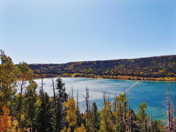 Scenic view of lake against clear blue sky