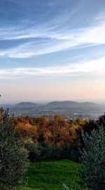 Scenic view of landscape against sky during sunset