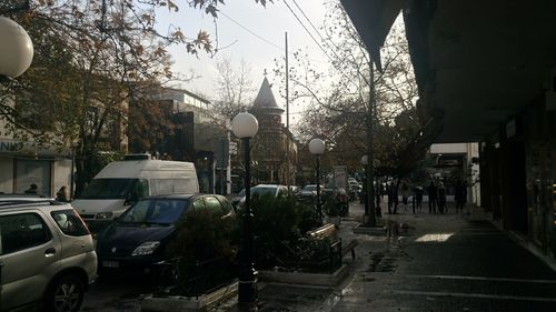 Cars on street amidst trees