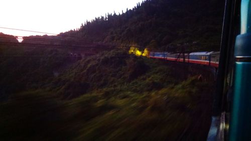 Cars on trees against sky