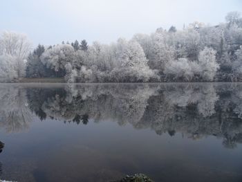 Reflection of trees in lake against sky