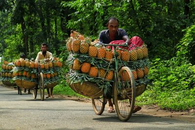 Transporting pineapple by bicycle to the local market through the road in the middle of the forest