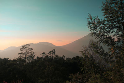 Scenic view of forest and mountains against sky at sunset